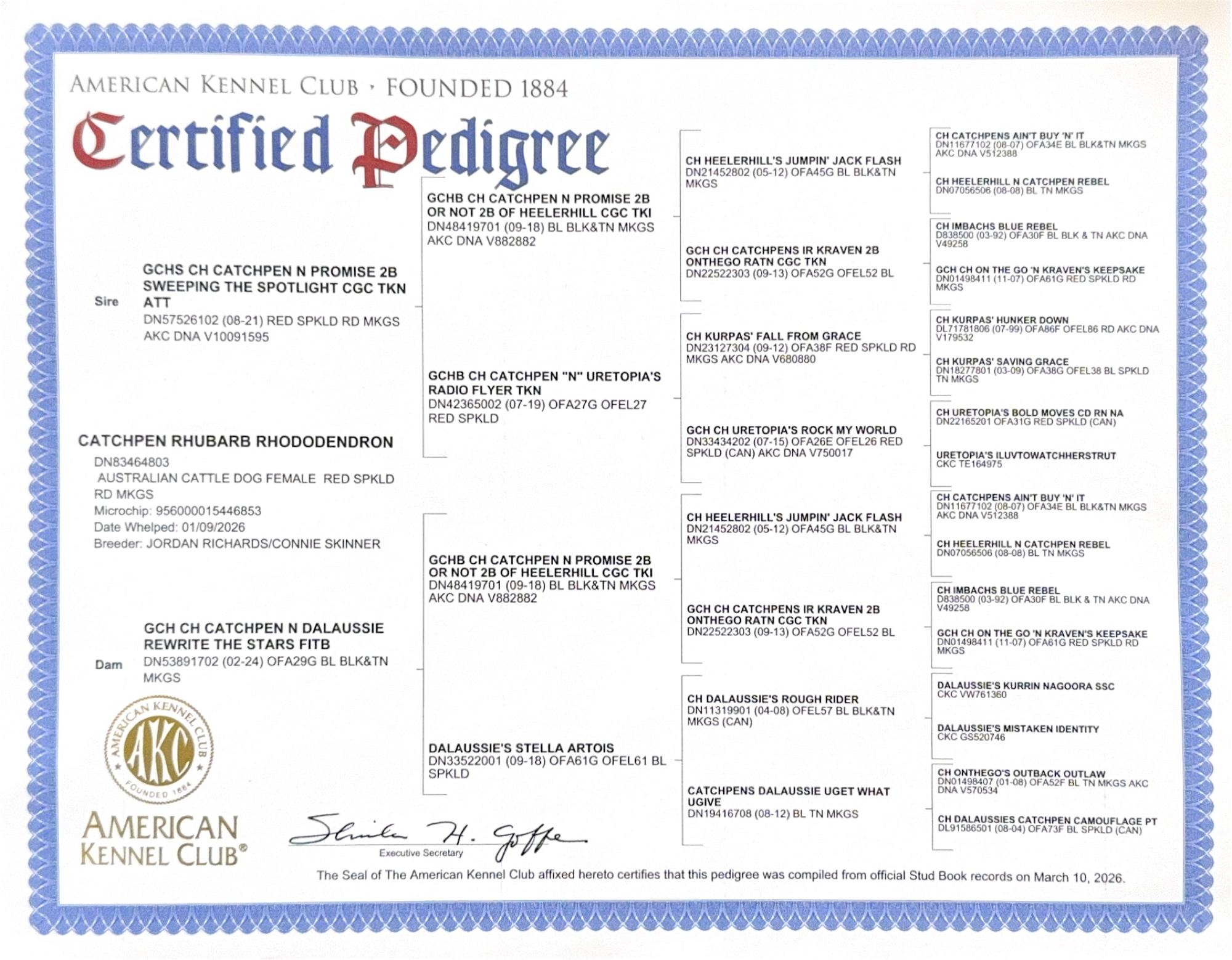 Rhubarb's AKC pedigree